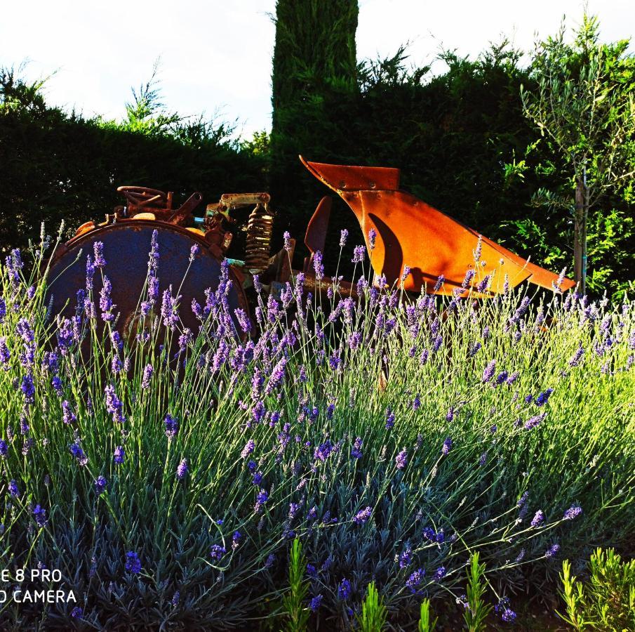 Rocca Degli Olivi Bed & Breakfast San Gimignano Bagian luar foto