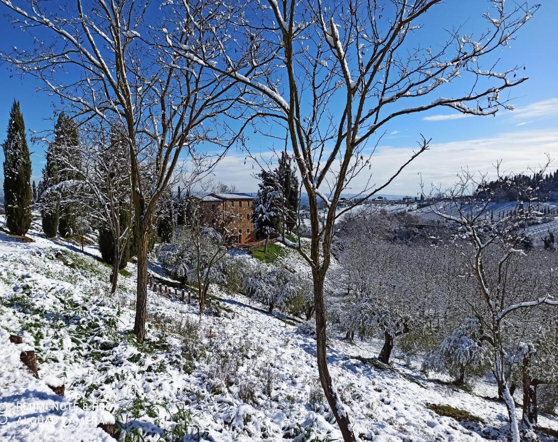 Rocca Degli Olivi Bed & Breakfast San Gimignano Bagian luar foto