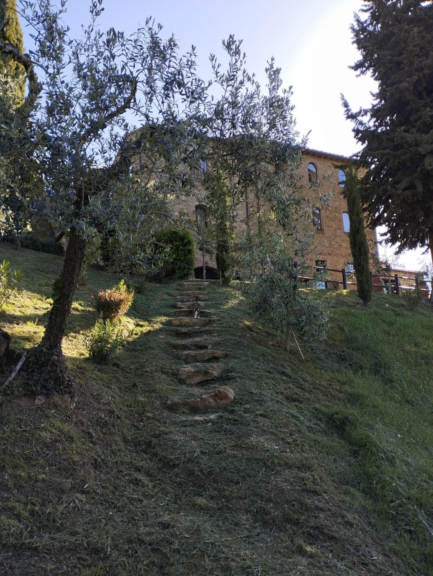 Rocca Degli Olivi Bed & Breakfast San Gimignano Bagian luar foto