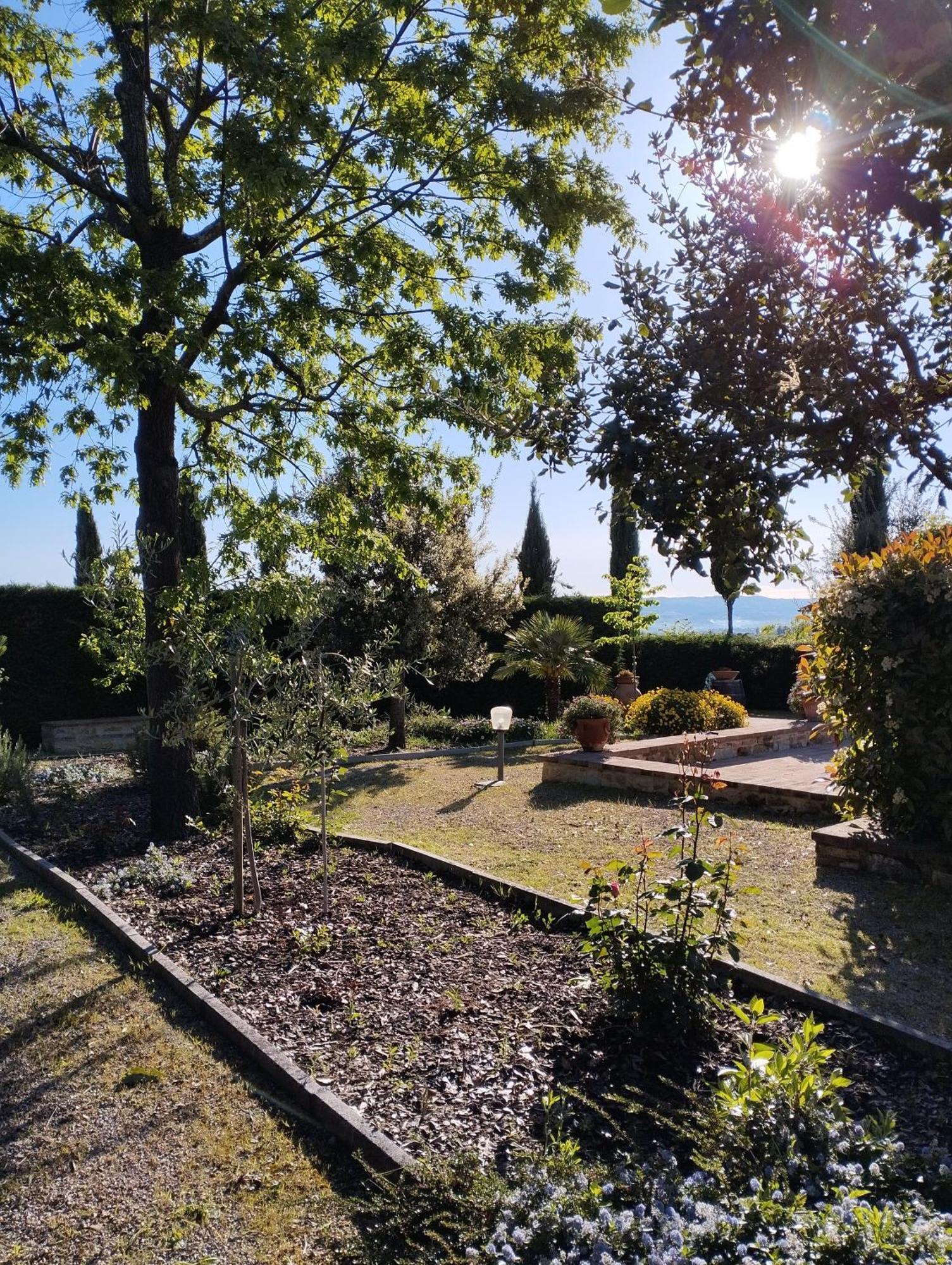 Rocca Degli Olivi Bed & Breakfast San Gimignano Bagian luar foto