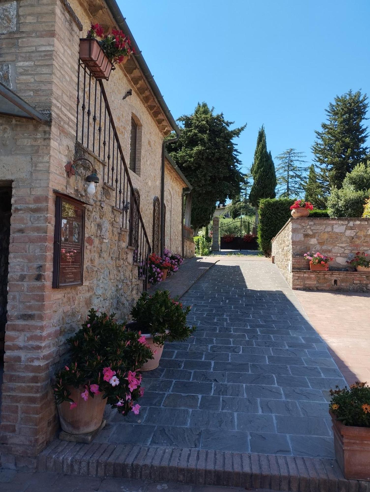 Rocca Degli Olivi Bed & Breakfast San Gimignano Bagian luar foto