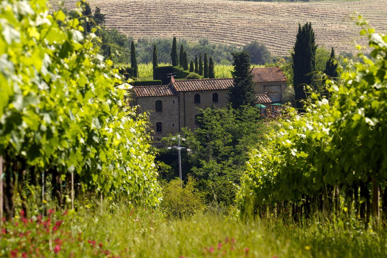 Rocca Degli Olivi Bed & Breakfast San Gimignano Bagian luar foto