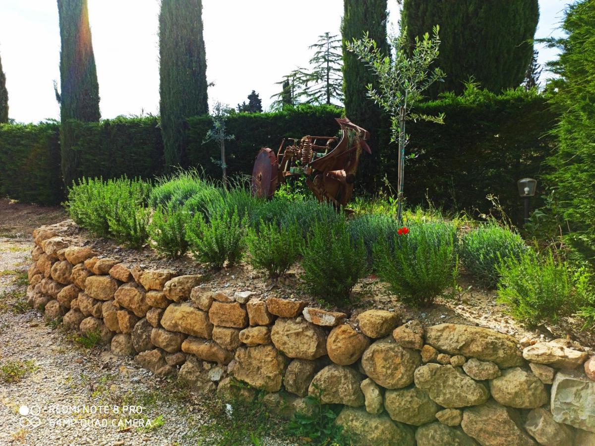 Rocca Degli Olivi Bed & Breakfast San Gimignano Bagian luar foto