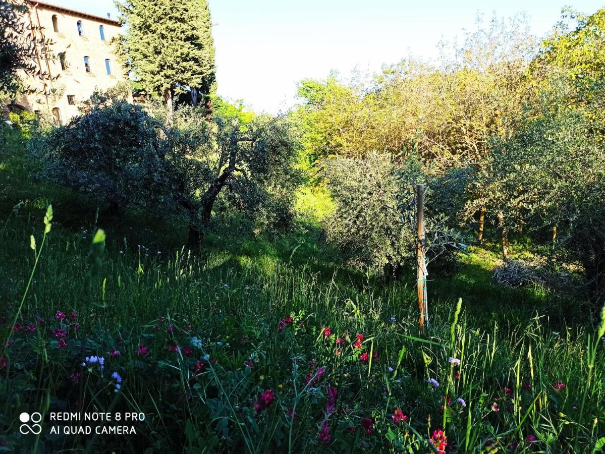 Rocca Degli Olivi Bed & Breakfast San Gimignano Bagian luar foto