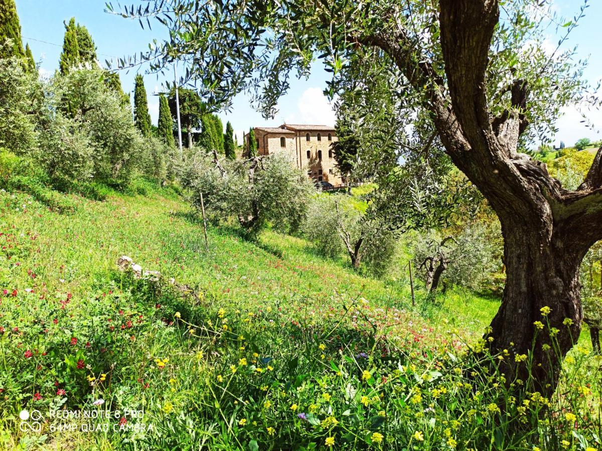 Rocca Degli Olivi Bed & Breakfast San Gimignano Bagian luar foto