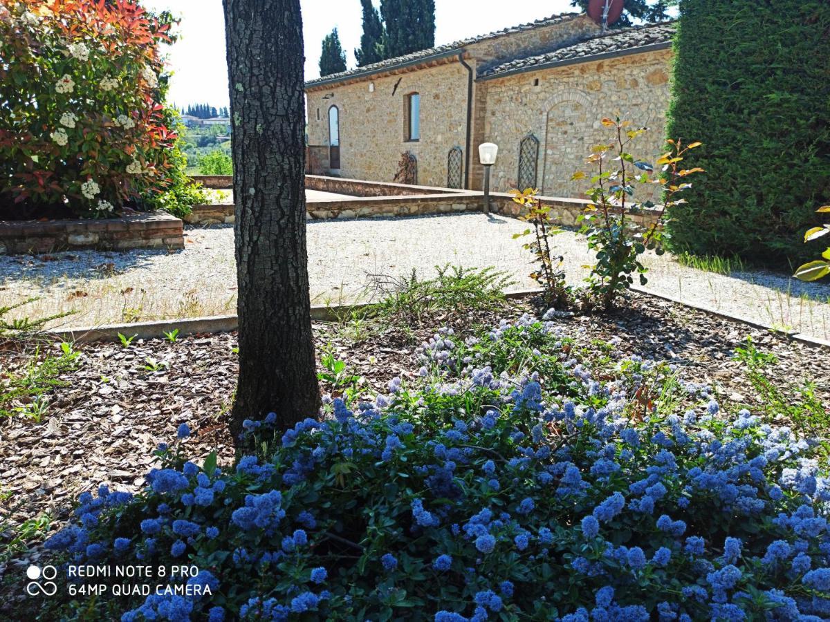 Rocca Degli Olivi Bed & Breakfast San Gimignano Bagian luar foto